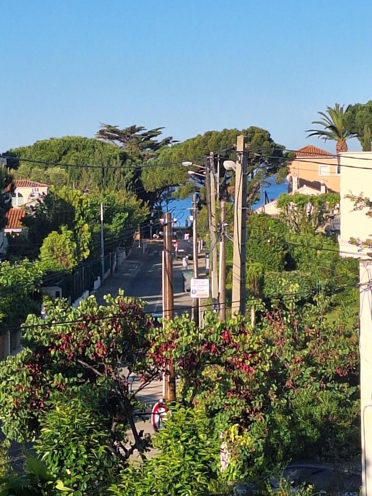 Appartement La Fregate Avec Terrasse A 100M De La Plage Saint-Cyr-sur-Mer Exteriér fotografie